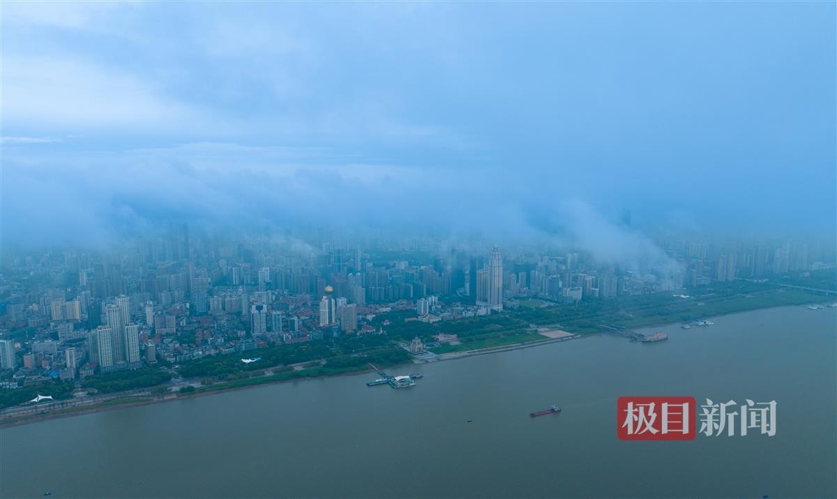 永利网址导航